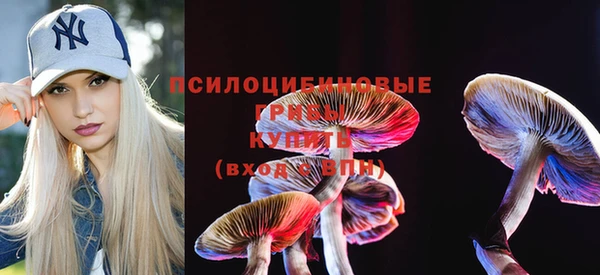 кокаин премиум Алексеевка