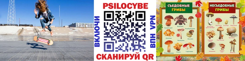 Псилоцибиновые грибы Cubensis Калязин
